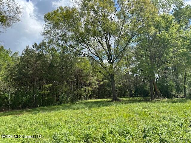 Holmes Road Tylertown, MS 39667 - Photo 12 of 43 IMG_3815