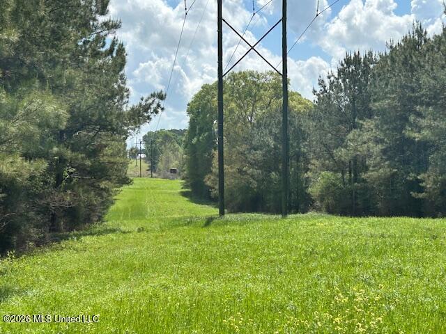 Holmes Road Tylertown, MS 39667 - Photo 13 of 43 IMG_3813