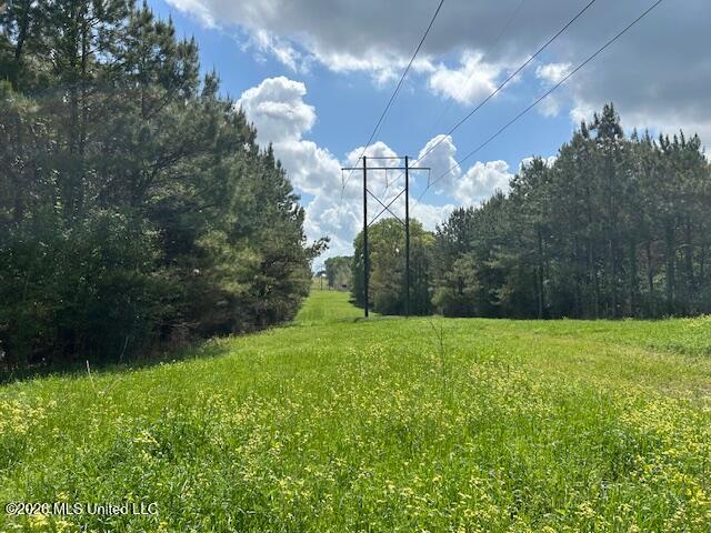 Holmes Road Tylertown, MS 39667 - Photo 14 of 43 IMG_3812