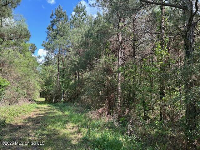 Holmes Road Tylertown, MS 39667 - Photo 15 of 43 IMG_3811