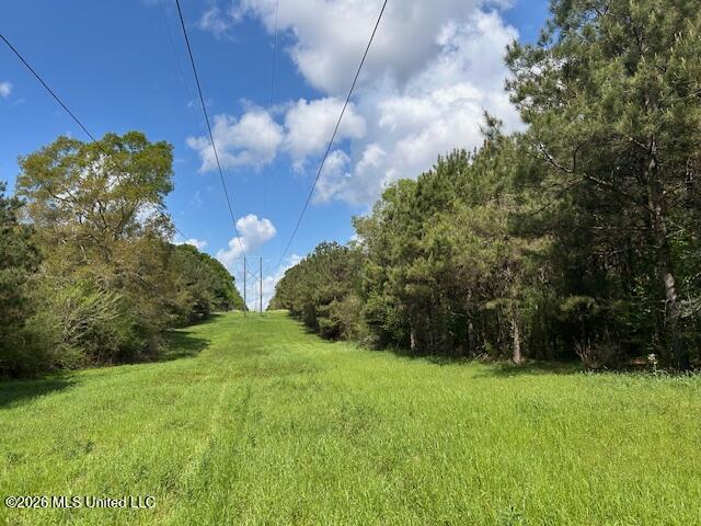 Holmes Road Tylertown, MS 39667 - Photo 16 of 43 IMG_3810