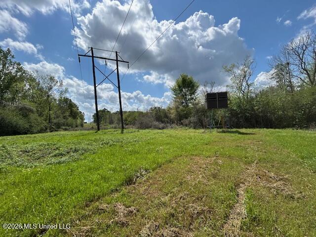 Holmes Road Tylertown, MS 39667 - Photo 17 of 43 IMG_3809