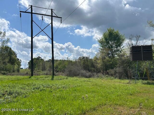 Holmes Road Tylertown, MS 39667 - Photo 18 of 43 IMG_3808