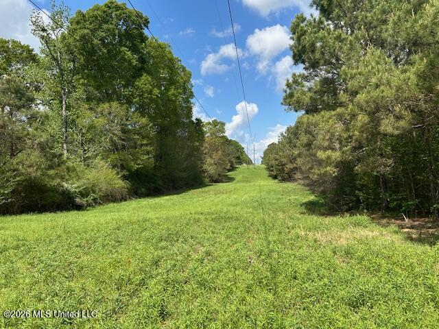 Holmes Road Tylertown, MS 39667 - Photo 19 of 43 IMG_3807 (1)