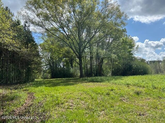 Holmes Road Tylertown, MS 39667 - Photo 20 of 43 IMG_3806 (2)