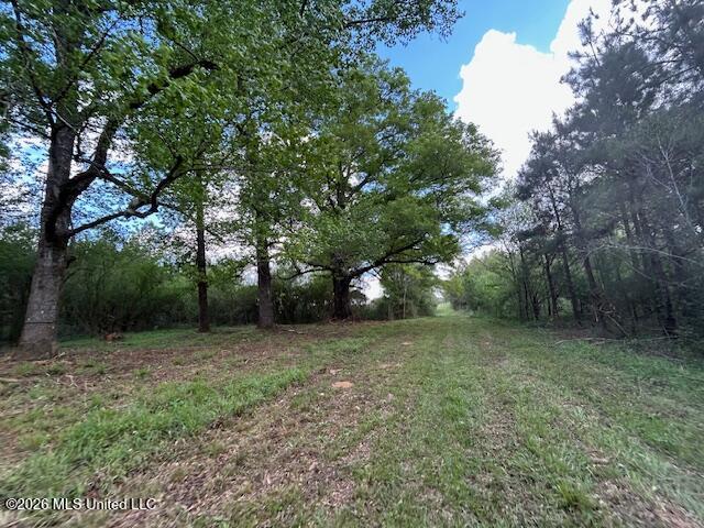 Holmes Road Tylertown, MS 39667 - Photo 2 of 43 IMG_3825