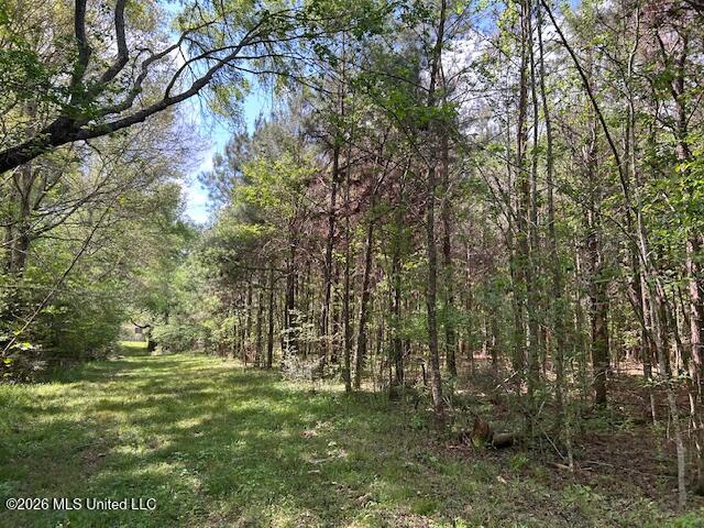 Holmes Road Tylertown, MS 39667 - Photo 21 of 43 IMG_3802