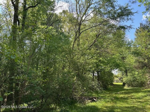 Holmes Road Tylertown, MS 39667 - Photo 22 of 43 IMG_3803