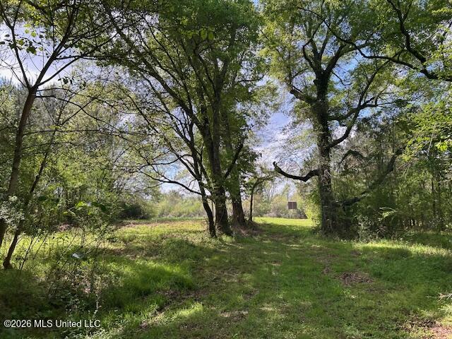 Holmes Road Tylertown, MS 39667 - Photo 23 of 43 IMG_3805 (1)