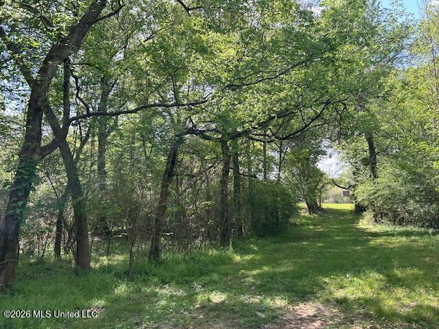 Holmes Road Tylertown, MS 39667 - Photo 24 of 43 IMG_3804 (1)