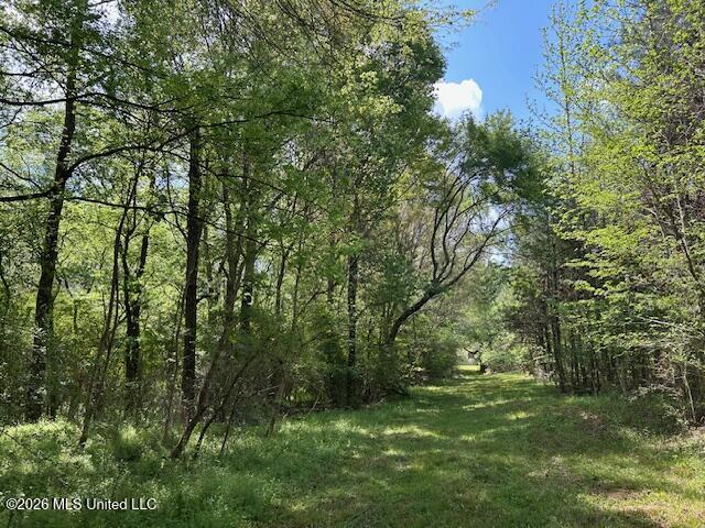 Holmes Road Tylertown, MS 39667 - Photo 25 of 43 IMG_3801