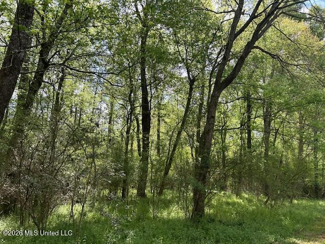 Holmes Road Tylertown, MS 39667 - Photo 26 of 43 IMG_3800