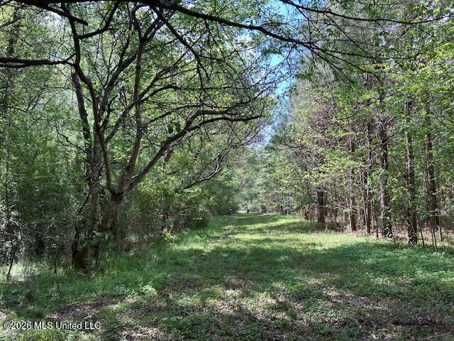 Holmes Road Tylertown, MS 39667 - Photo 27 of 43 IMG_3799