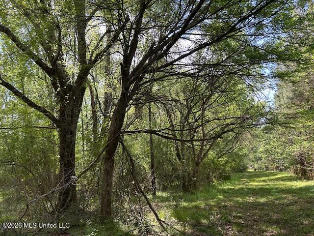 Holmes Road Tylertown, MS 39667 - Photo 28 of 43 IMG_3798