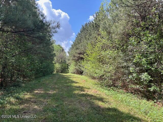 Holmes Road Tylertown, MS 39667 - Photo 29 of 43 IMG_3797