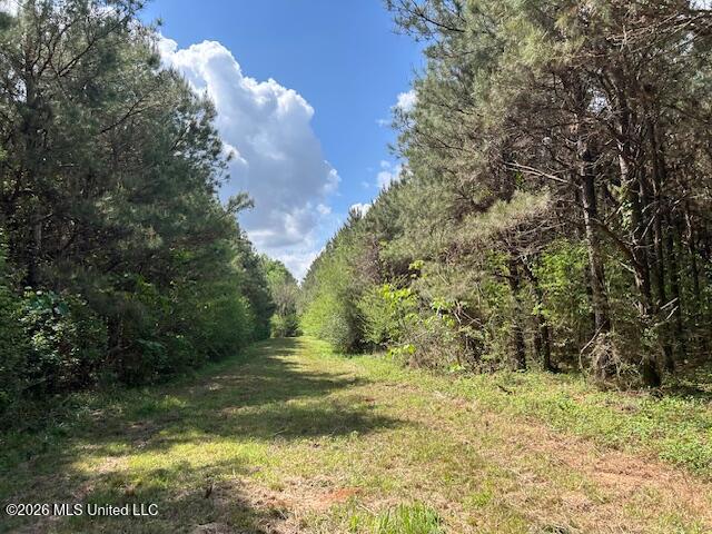 Holmes Road Tylertown, MS 39667 - Photo 30 of 43 IMG_3796