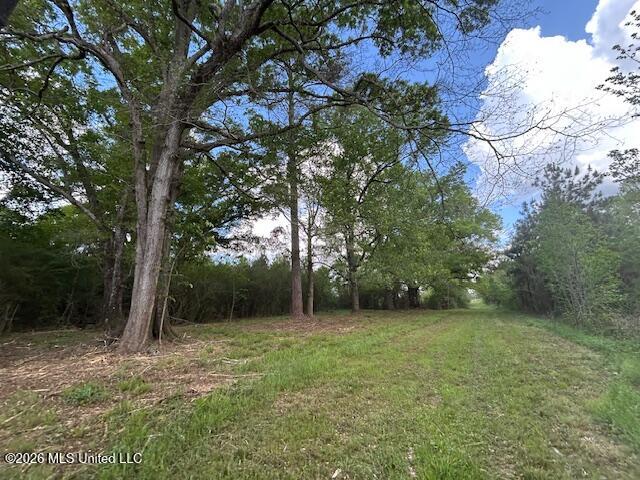 Holmes Road Tylertown, MS 39667 - Photo 3 of 43 IMG_3824