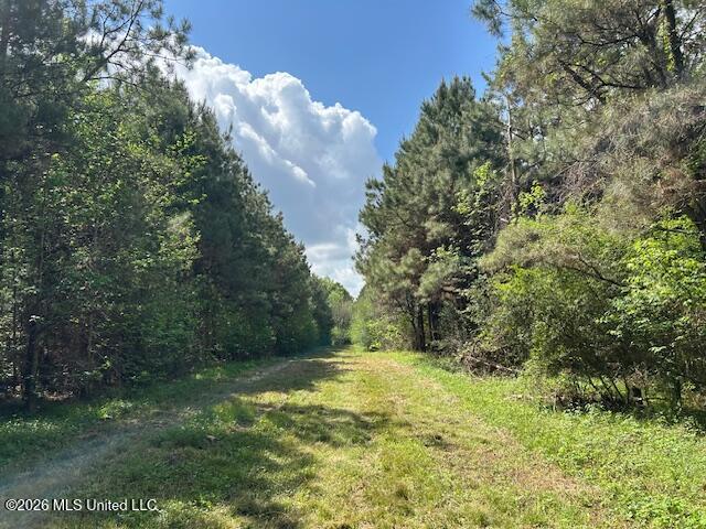 Holmes Road Tylertown, MS 39667 - Photo 31 of 43 IMG_3795