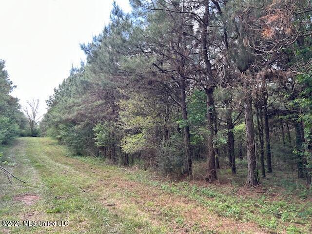 Holmes Road Tylertown, MS 39667 - Photo 33 of 43 IMG_3793 (1)