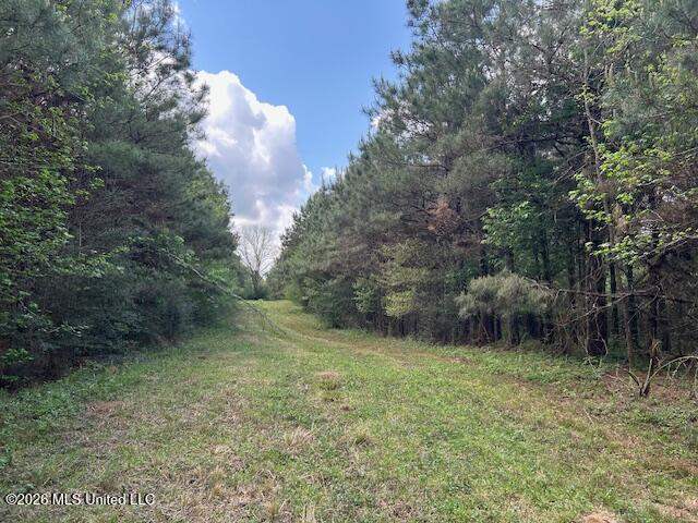 Holmes Road Tylertown, MS 39667 - Photo 34 of 43 IMG_3792 (1)