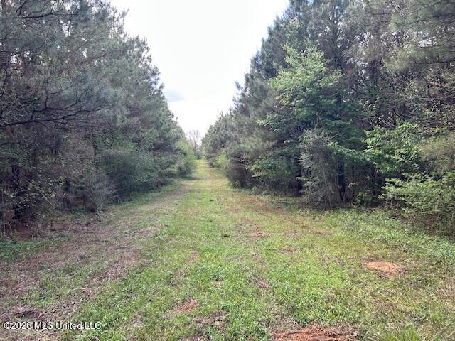 Holmes Road Tylertown, MS 39667 - Photo 35 of 43 IMG_3791 (1)