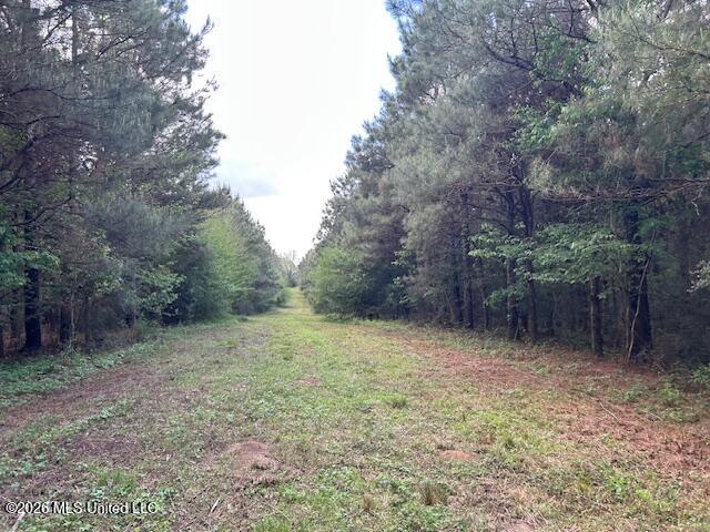Holmes Road Tylertown, MS 39667 - Photo 36 of 43 IMG_3790 (1)