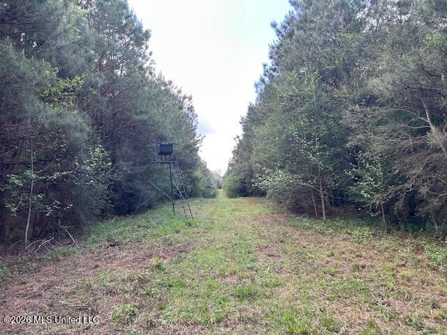 Holmes Road Tylertown, MS 39667 - Photo 37 of 43 IMG_3789 (1)
