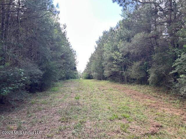 Holmes Road Tylertown, MS 39667 - Photo 38 of 43 IMG_3788 (1)