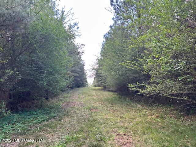 Holmes Road Tylertown, MS 39667 - Photo 39 of 43 IMG_3787 (1)
