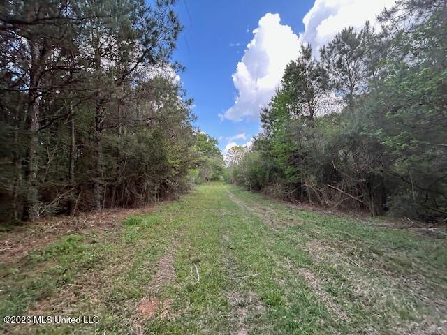 Holmes Road Tylertown, MS 39667 - Photo 4 of 43 IMG_3823