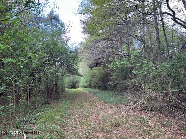 Holmes Road Tylertown, MS 39667 - Photo 41 of 43 IMG_3785 (1)