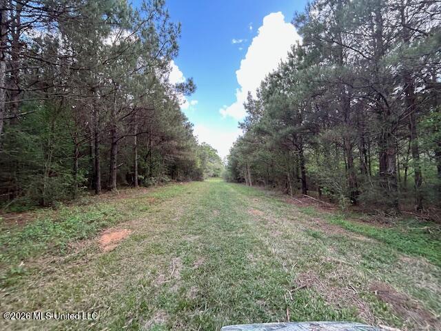 Holmes Road Tylertown, MS 39667 - Photo 5 of 43 IMG_3822