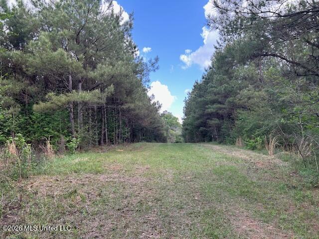 Holmes Road Tylertown, MS 39667 - Photo 6 of 43 IMG_3821
