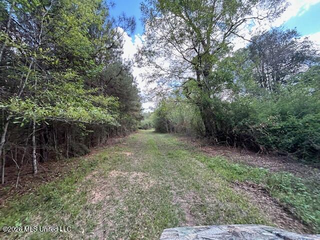 Holmes Road Tylertown, MS 39667 - Photo 7 of 43 IMG_3820