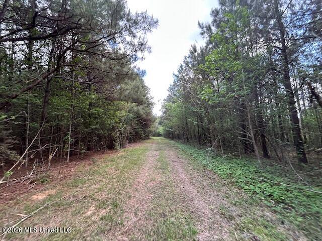 Holmes Road Tylertown, MS 39667 - Photo 8 of 43 IMG_3819
