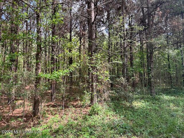 Holmes Road Tylertown, MS 39667 - Photo 9 of 43 IMG_3818
