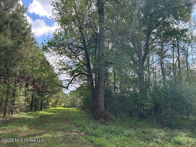 Holmes Road Tylertown, MS 39667 - Photo 10 of 43 IMG_3817