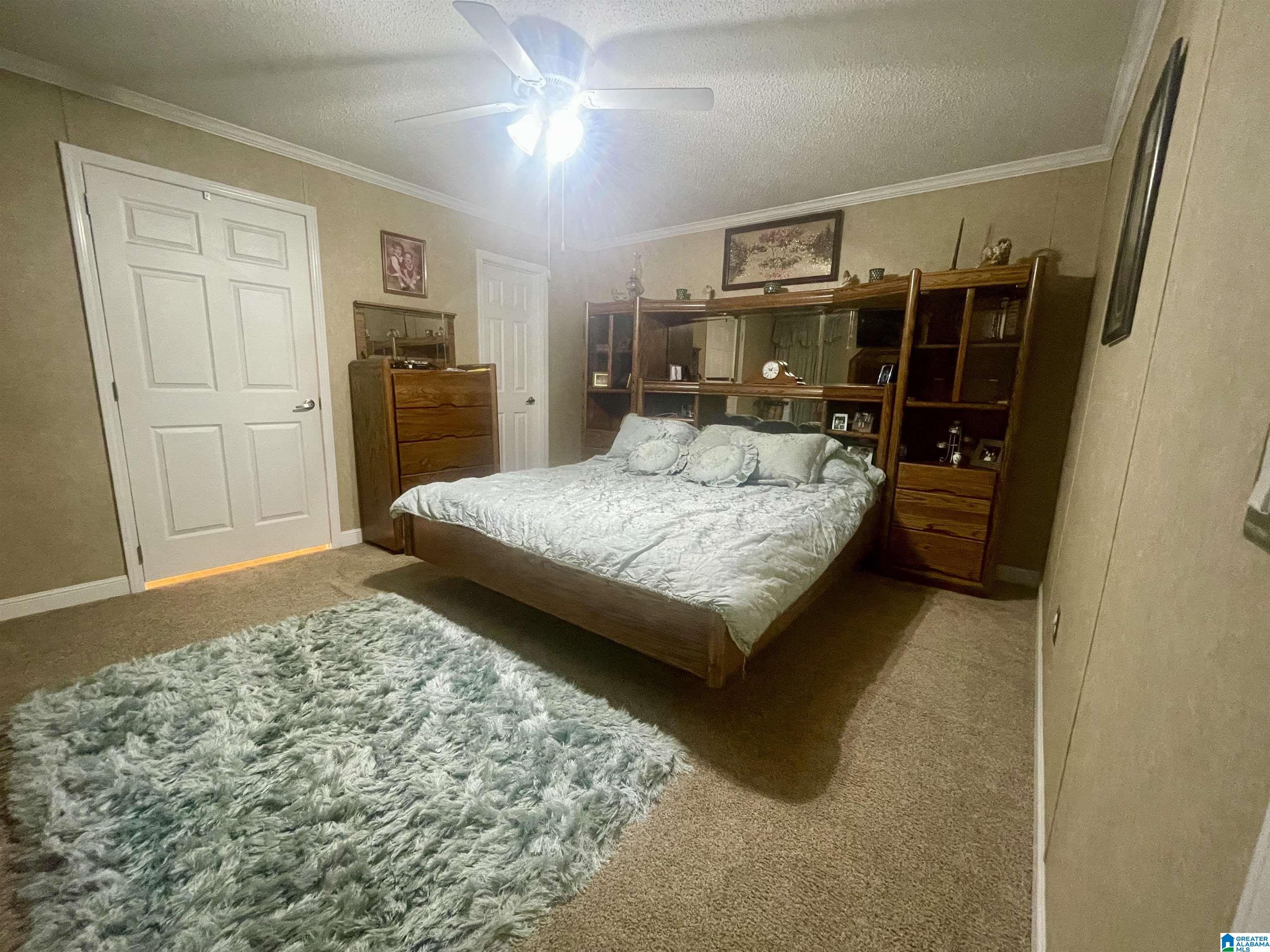 9308 Dads Hill Road Warrior, AL 35180 - Photo 11 of 14