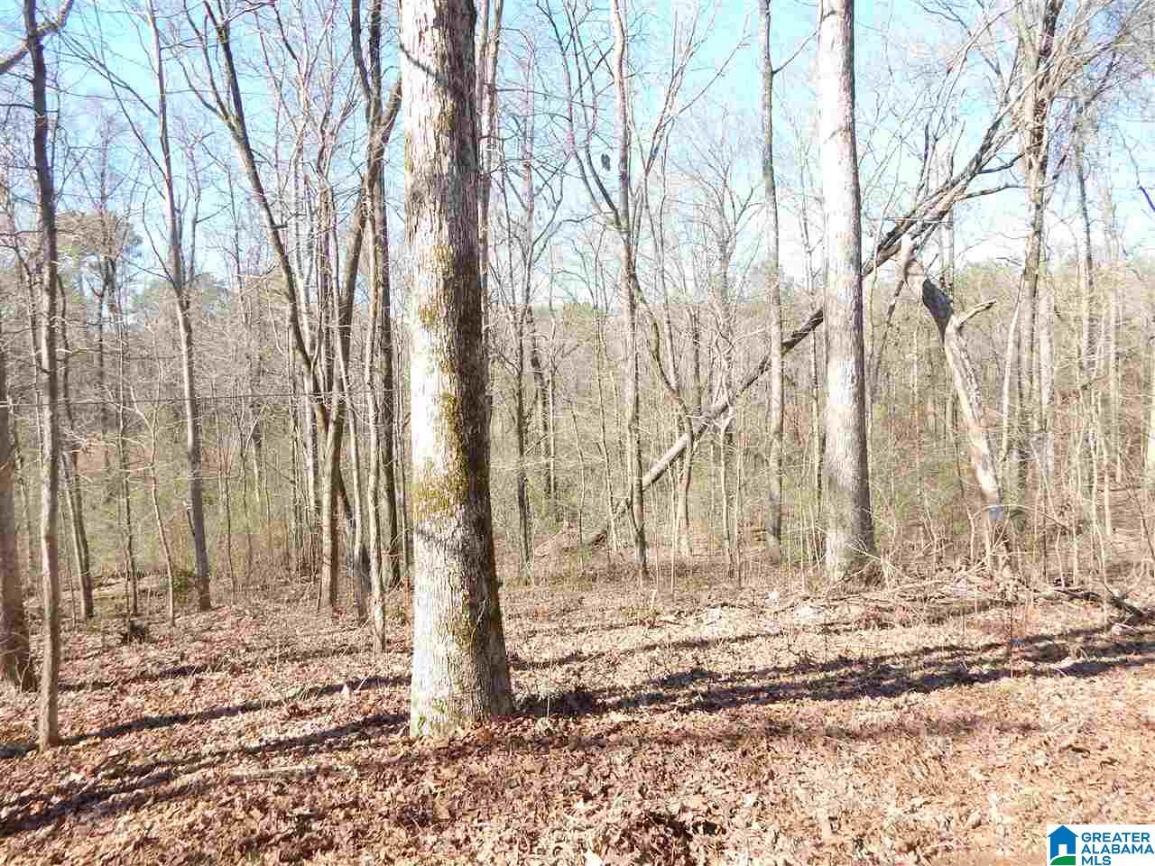 7450 Weems Road Trussville, AL 35173 - Photo 23 of 29