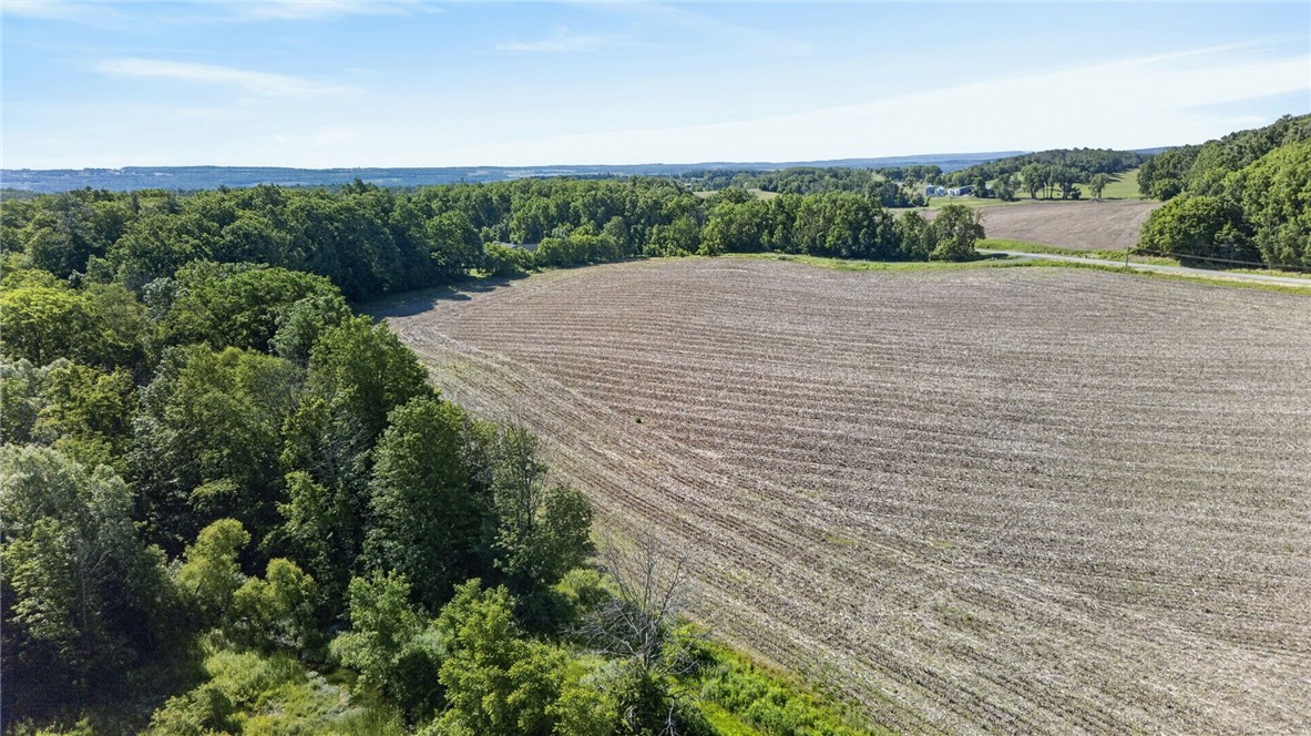 Cramer Road Canandaigua, NY 14424 - Photo 23 of 47