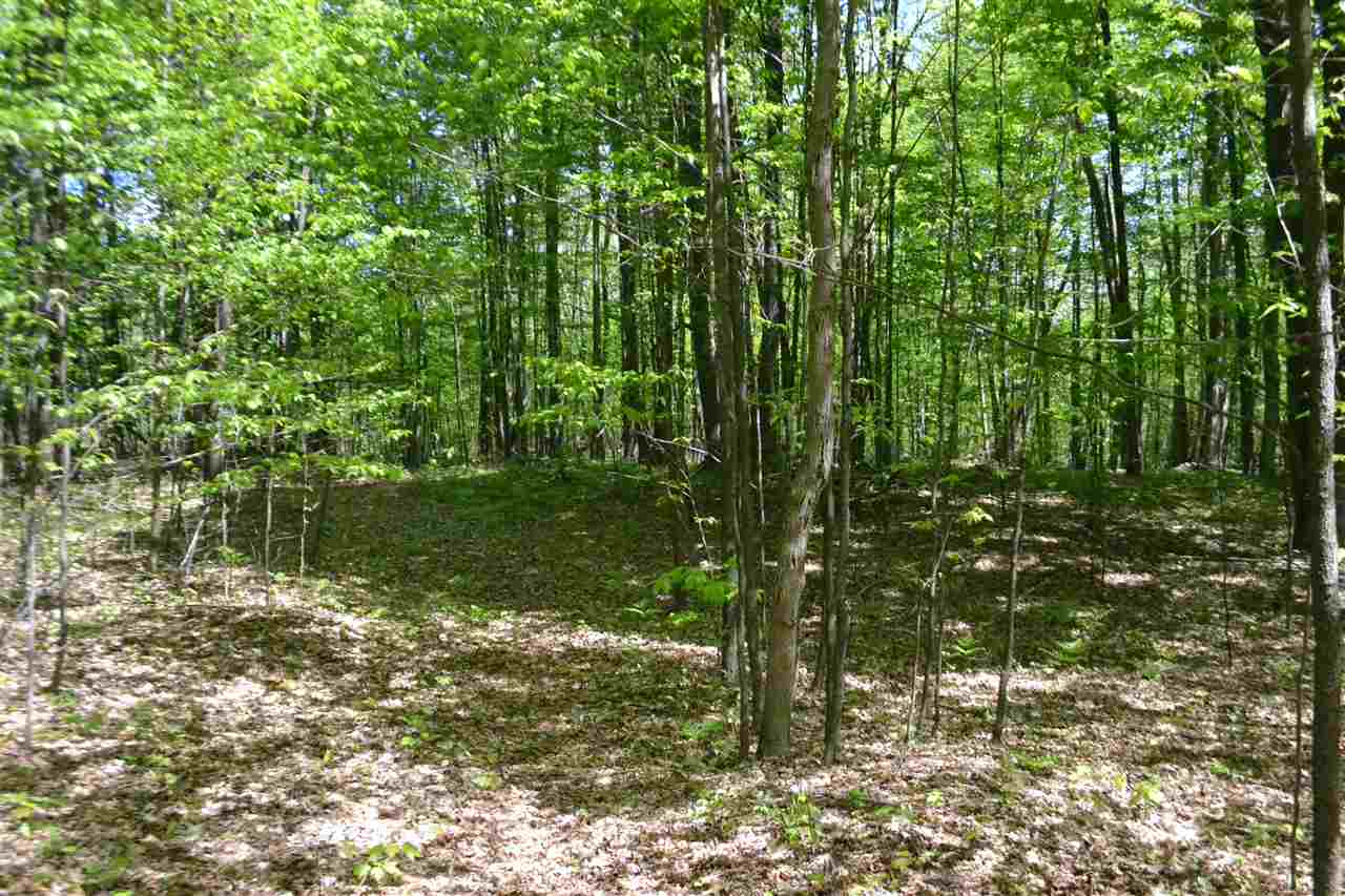 0 Stub Road Harrison, MI 48625 - Photo 15 of 15 Gallery Image 15