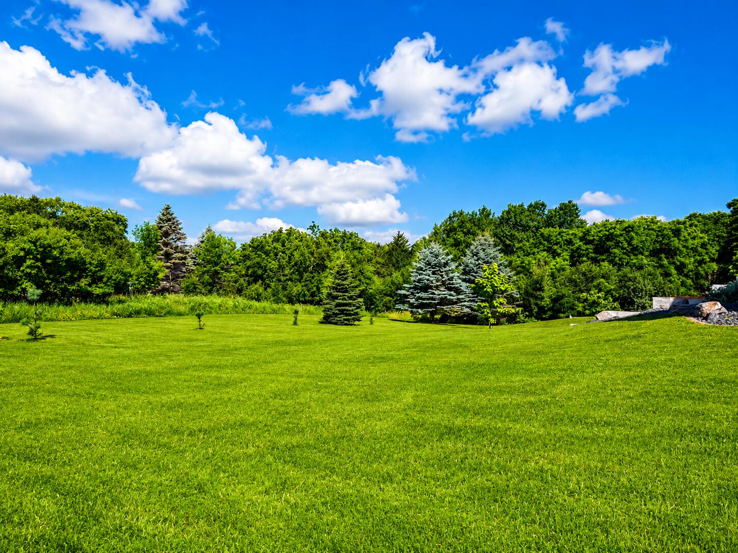 2220 Garvin Heights Road Winona, MN 55987 - Photo 53 of 59 53 yard