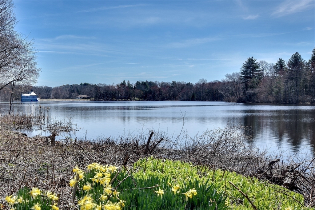 256 Salem End Road Framingham, MA 01702 - Photo 3 of 38 Gallery Image 3