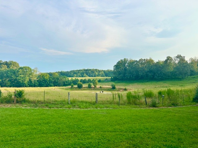 3586 River Road Baxter, TN 38544 - Photo 7 of 8 a view of a lake with a big yard
