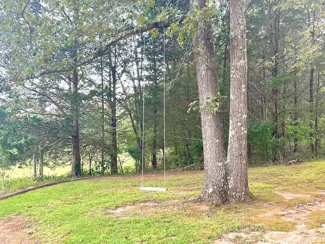 a view of a trees in a yard