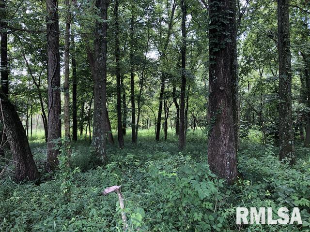 7495 Mine 5 Road Benton, IL 62812 - Photo 9 of 37