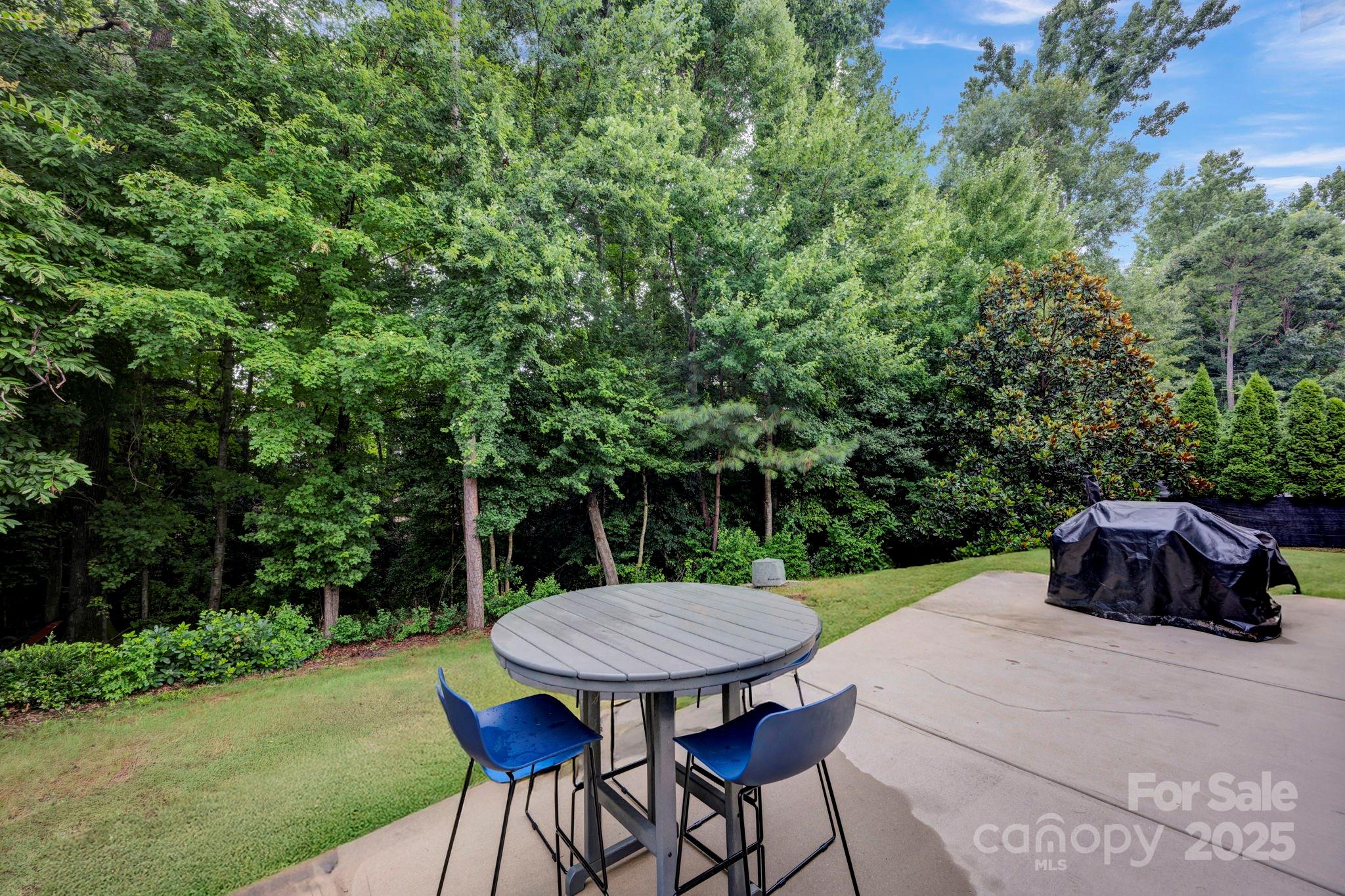 3076 Amaranth Drive Tega Cay, SC 29708 - Photo 31 of 39 a view of a table and chairs in patio