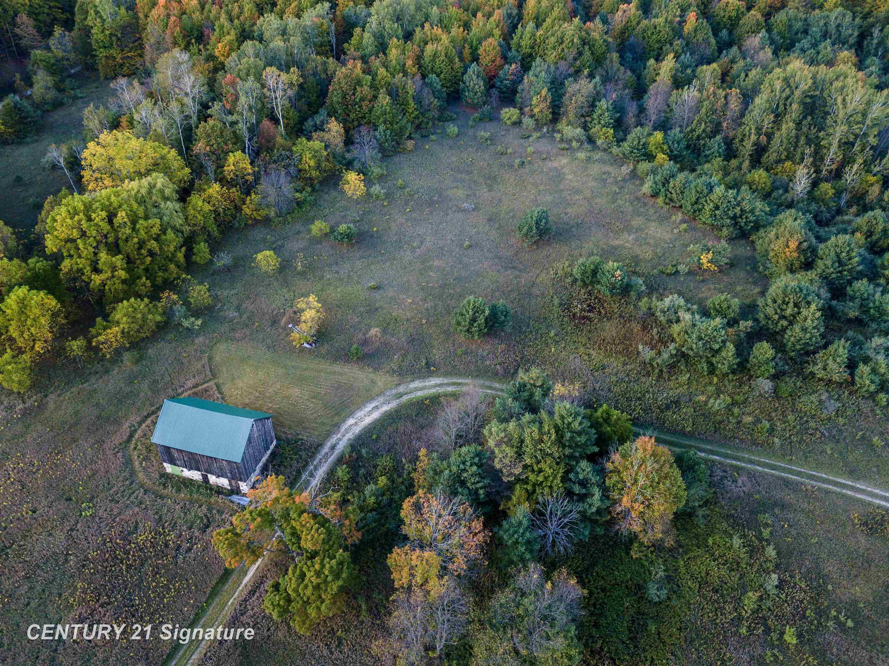 V/l Ritt Road Breckenridge, MI 48615 - Photo 9 of 11