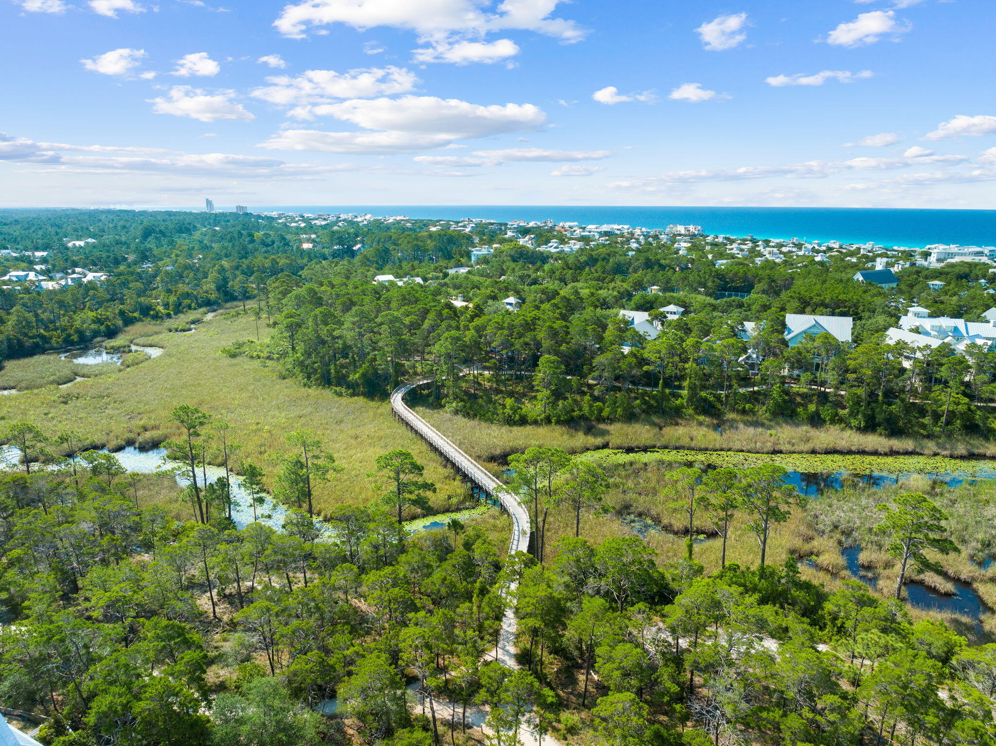 17 Red Basil Drive Santa Rosa Beach, FL 32459 - Photo 48 of 59 Watercolor 6