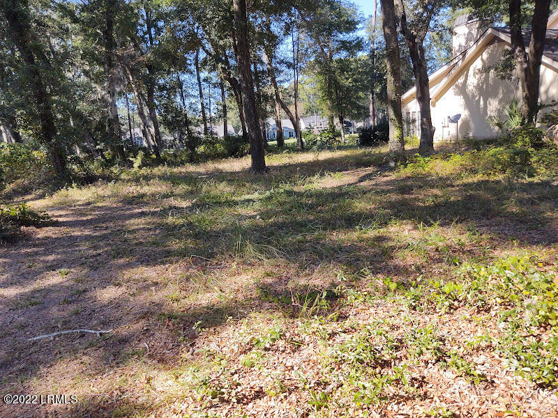 126 Locust Fence Road St. Helena Island, SC 29920 - Photo 7 of 12 View from street